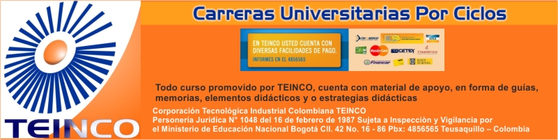 tl_files/banners colegios/TEINCO.jpg